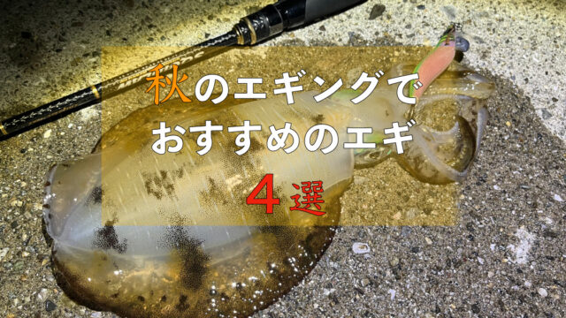 秋のエギングにおすすめのエギ４選 エギはダート性能 フォール姿勢が肝要 フィッシュスケープ